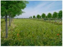 ex-fanny-1_Agroecology